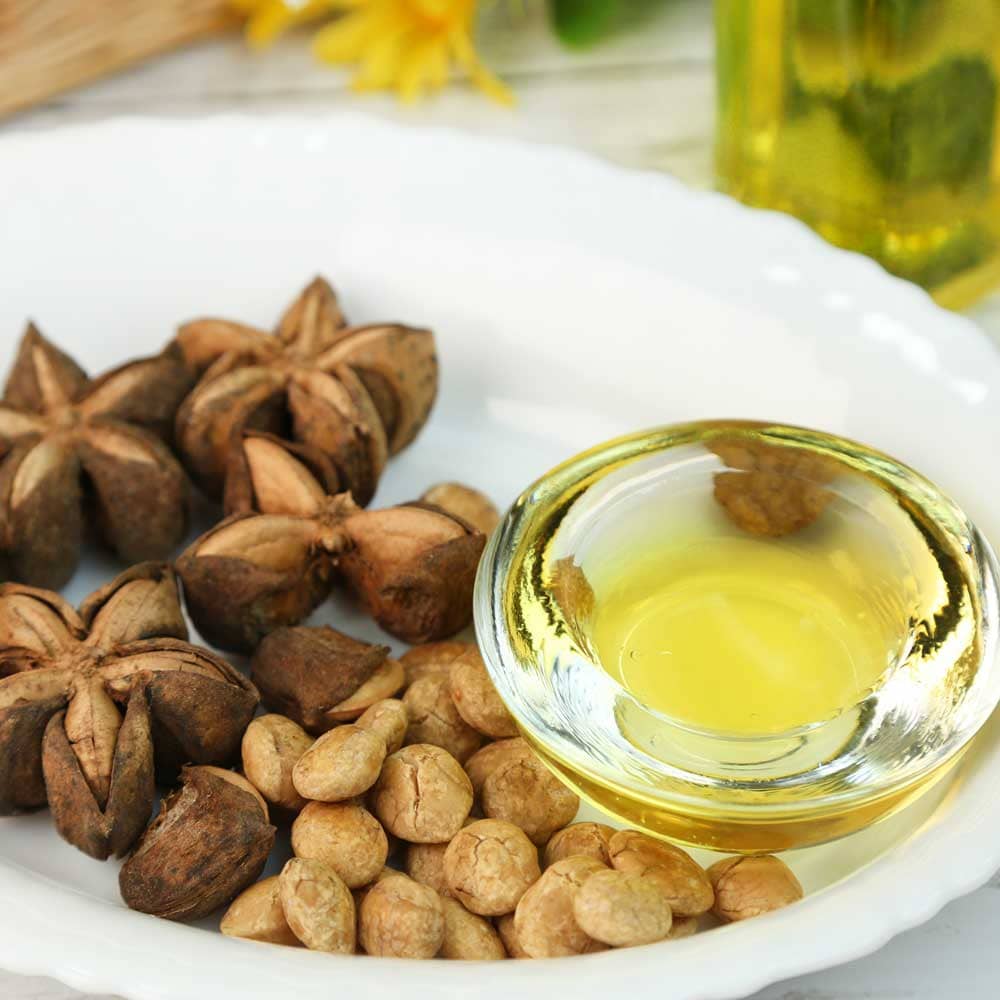 Cold-Pressed Sacha Inchi Oil | Plant Omega-3-6-9 (Mercury-Free) | 250 ml (8.45 fl oz) — image 5