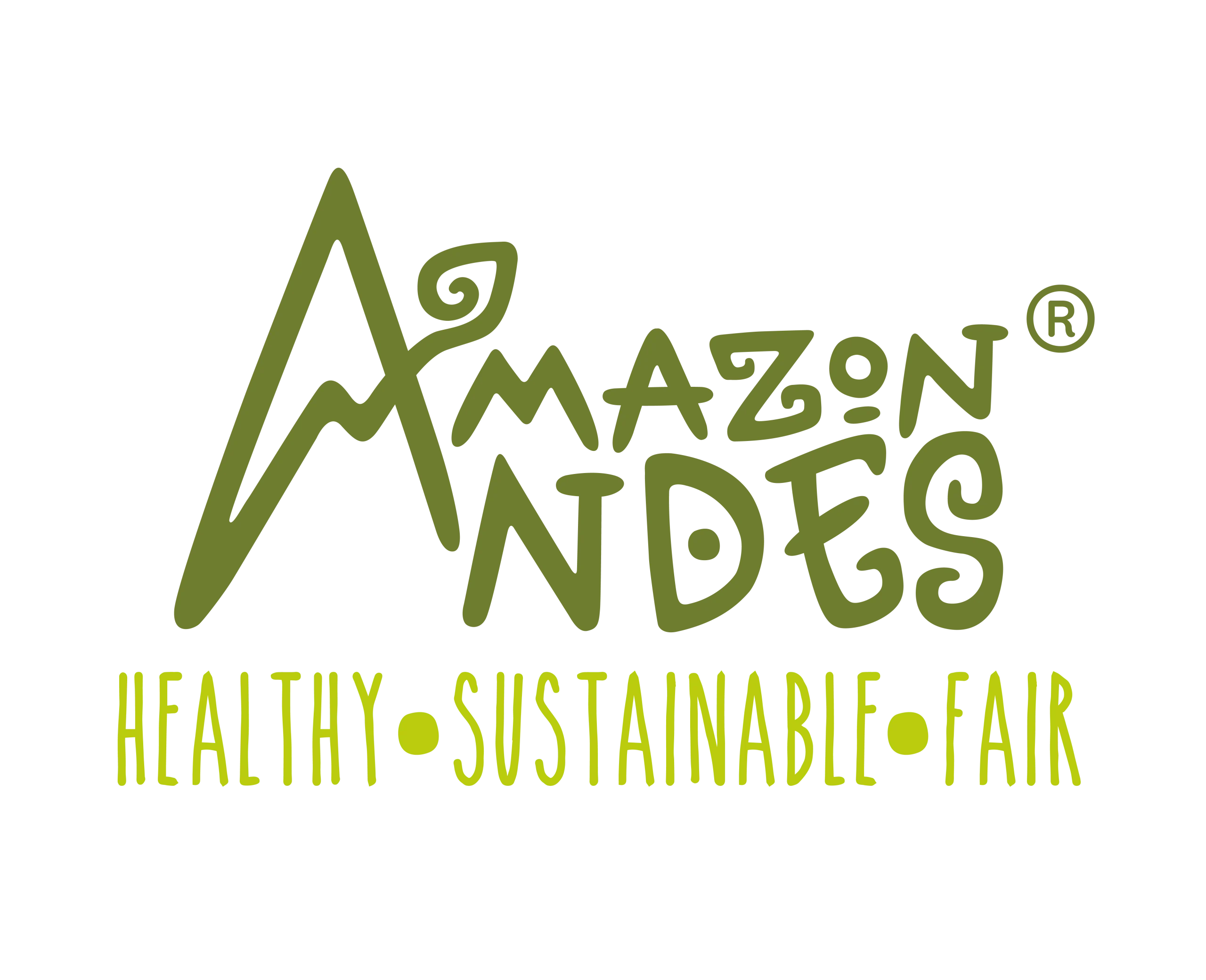 Amazon Andes logo